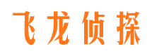 平川侦探公司